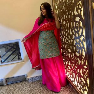 Latest Punjabi Wedding Dresses For Female/Guests In 2020 » Shasmajor